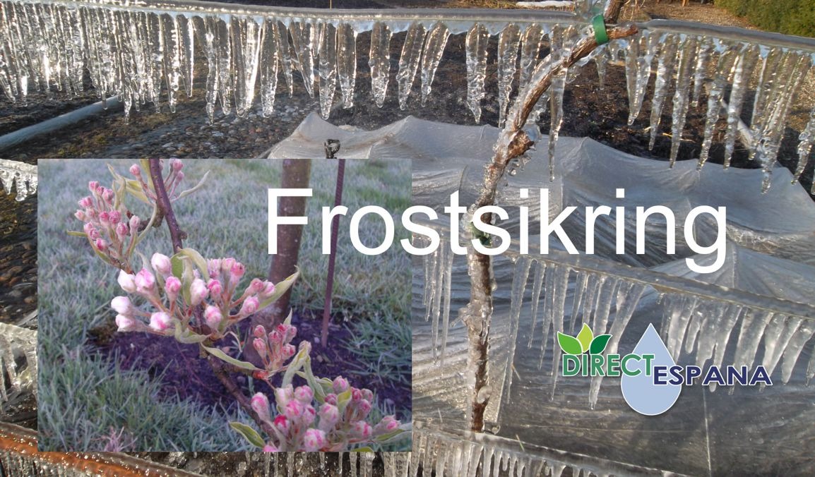 Frostsikring
