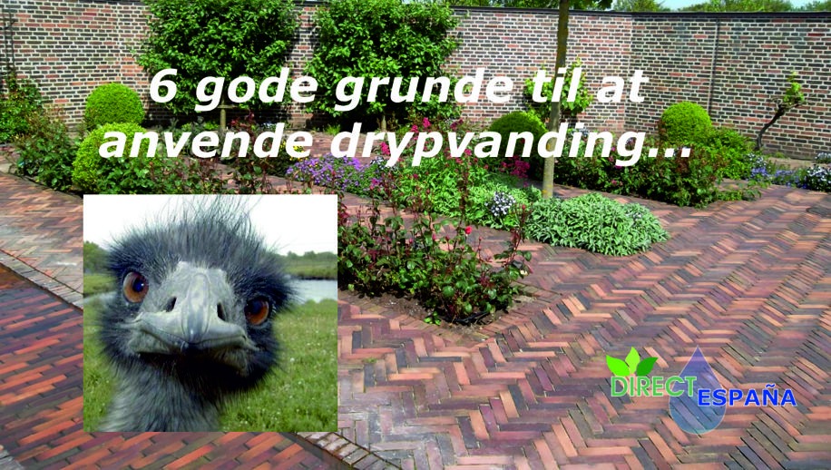 6 gode grunde til drypvanding