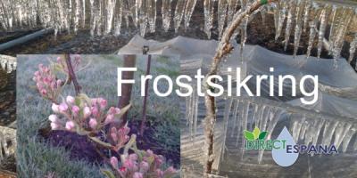 FROSTSIKRING