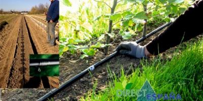 DRYPSLANGE VS SIVESLANGE: FREMTIDEN HEDDER DRYPSLANGER…!